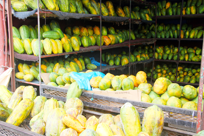 Mercado de Abastos